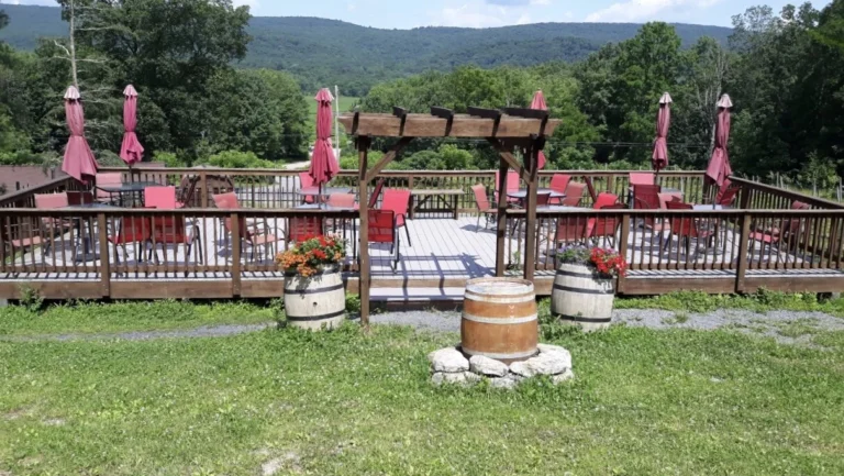Outdoor deck and vineyard setting at Bashakill Vineyards