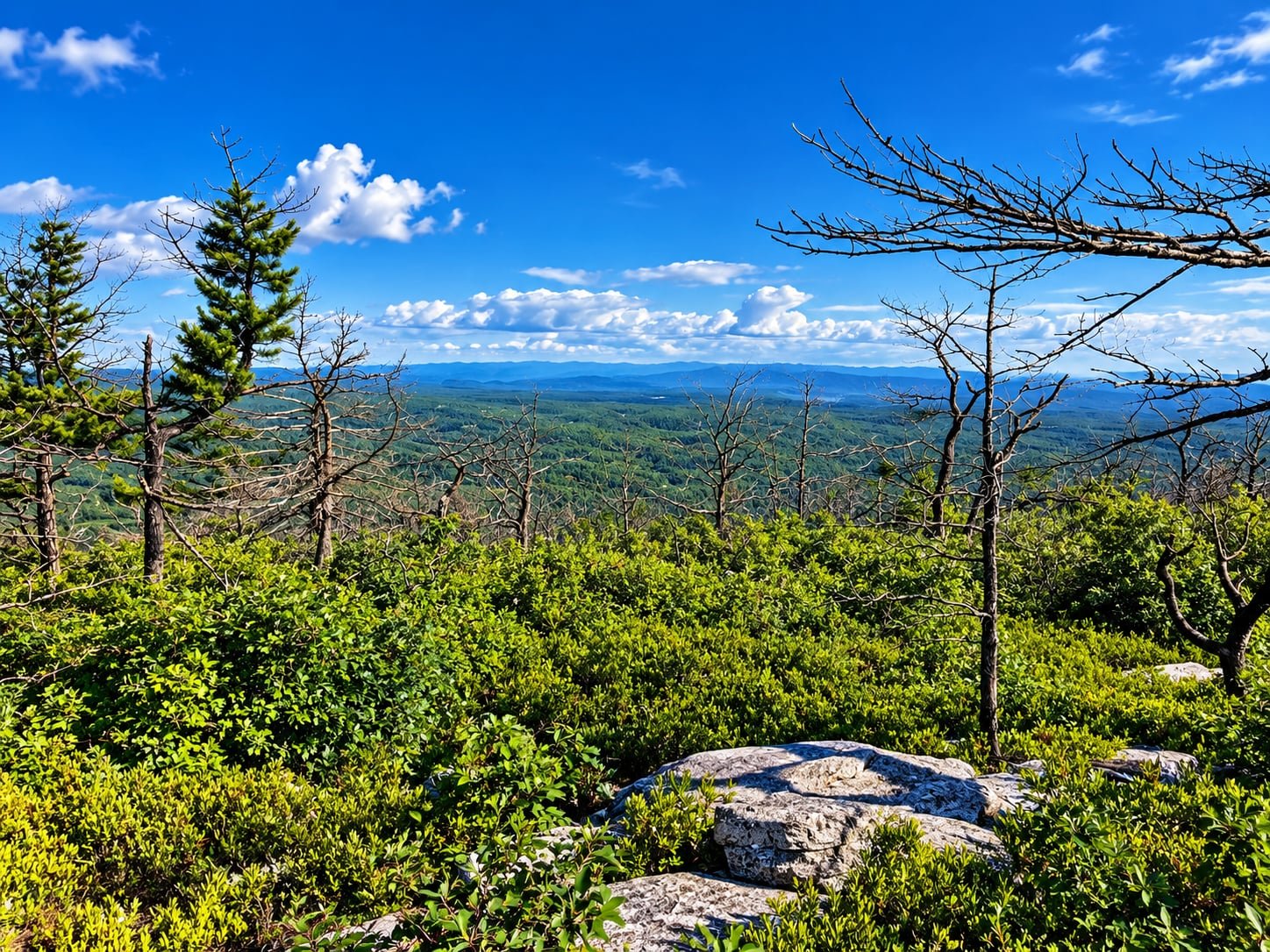 Mountain overlook.