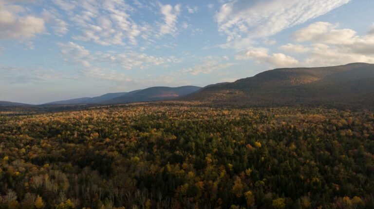 Illustrative aerial view of forest and catskill mountain ridges; not a verified photograph of the named Hudson Valley destination