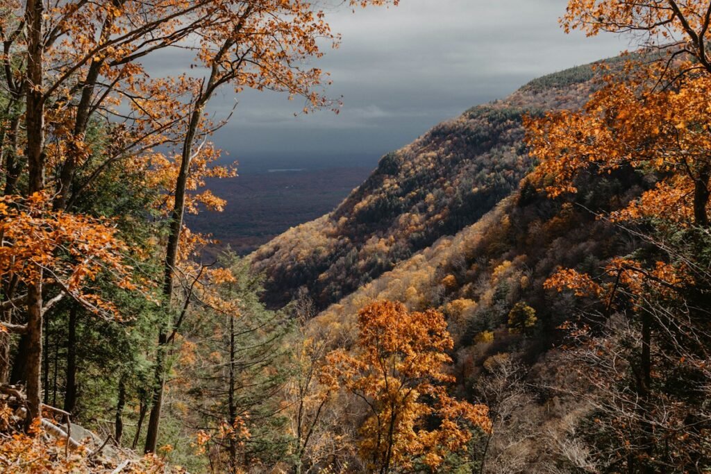 Illustrative catskill mountains in autumn; not a specific Hudson Valley venue