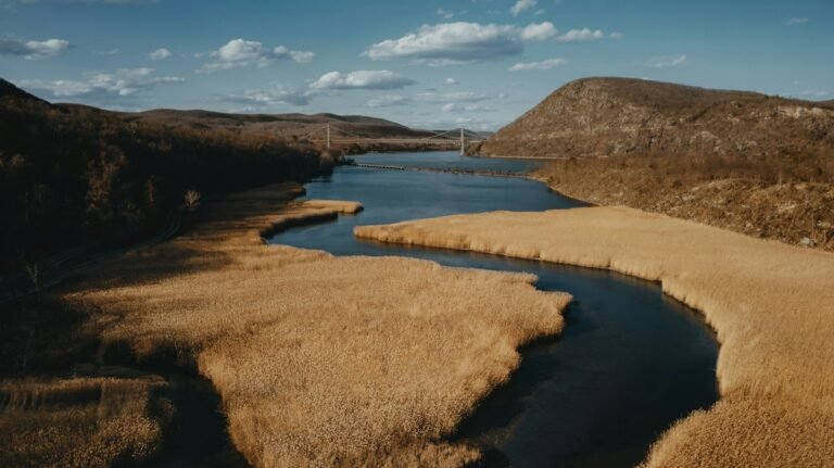 Illustrative wetland and water surrounded by brown grasses; not a verified photograph of the named Hudson Valley destination