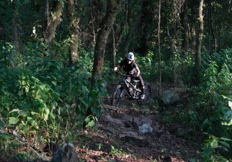 Illustrative mountain biker riding along a forest trail; not a verified photograph of the named Hudson Valley destination