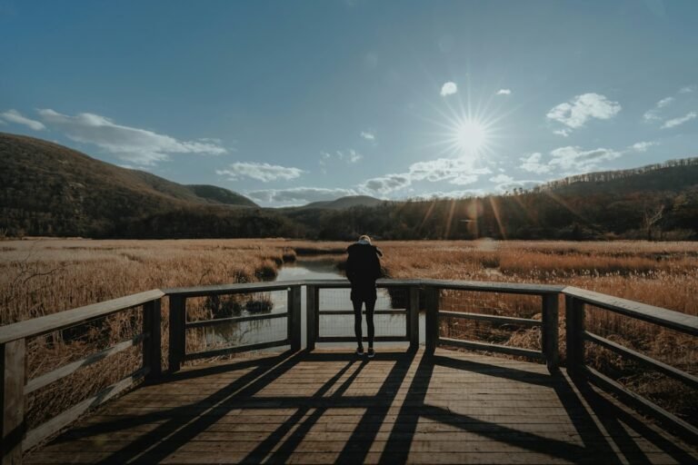 Illustrative visitor on a bridge looking over an open field; not a verified photograph of the named Hudson Valley destination