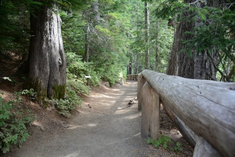 Illustrative wooded trail with a rustic wooden fence; not a verified photograph of the named Hudson Valley destination