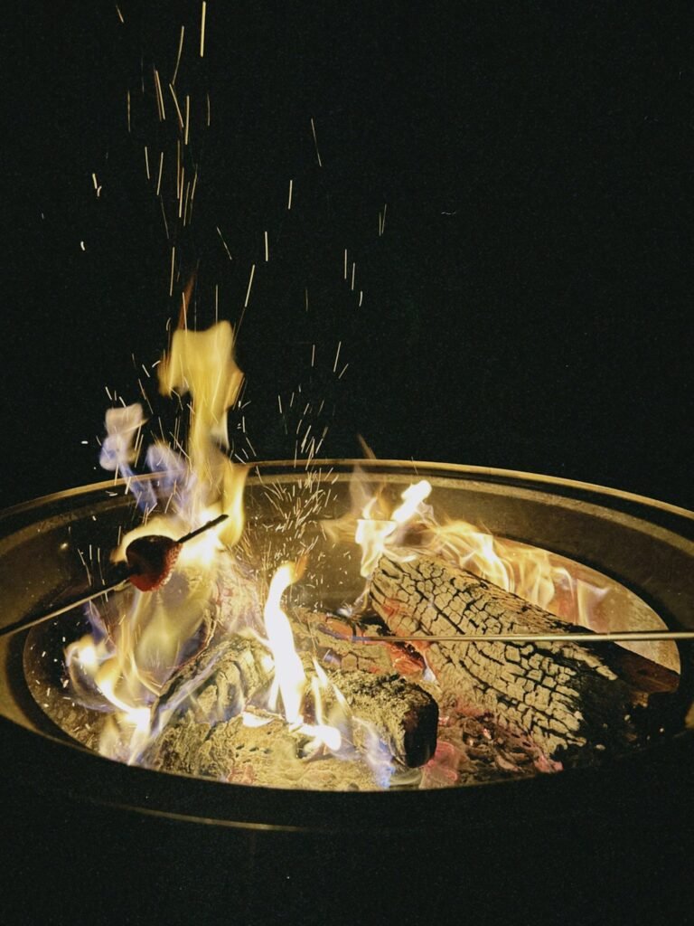 Illustrative marshmallows roasting around a campfire, not Aroma Thyme Bistro's planned experience