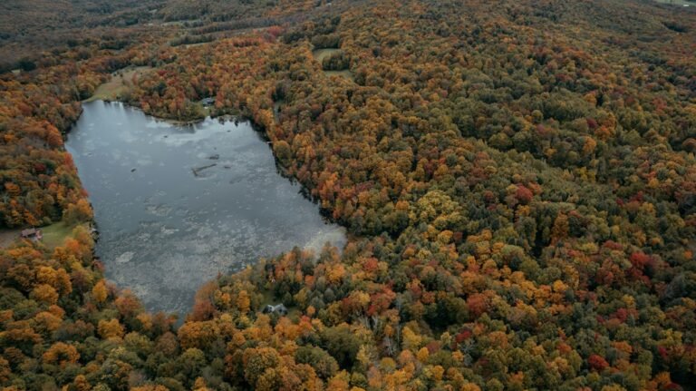 Illustrative Catskills river and autumn woods, not Lake Minnewaska or Lake Awosting