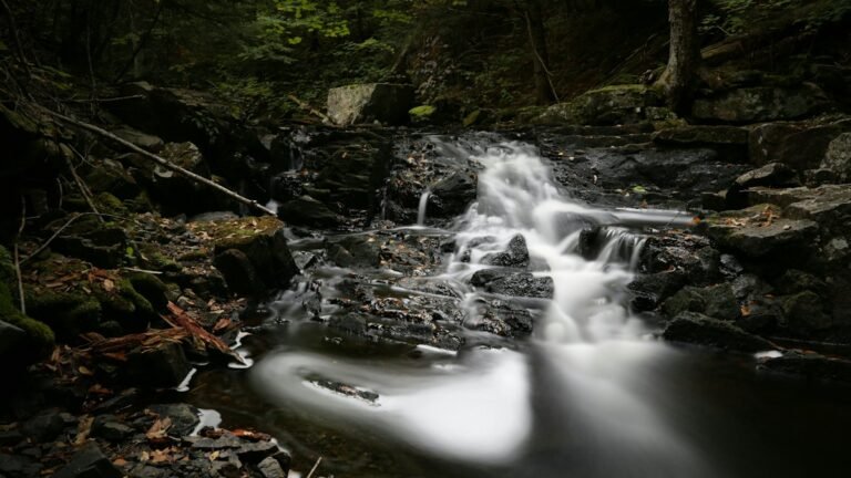 Illustrative wooded stream and river scenery, not a photograph of Split Rock
