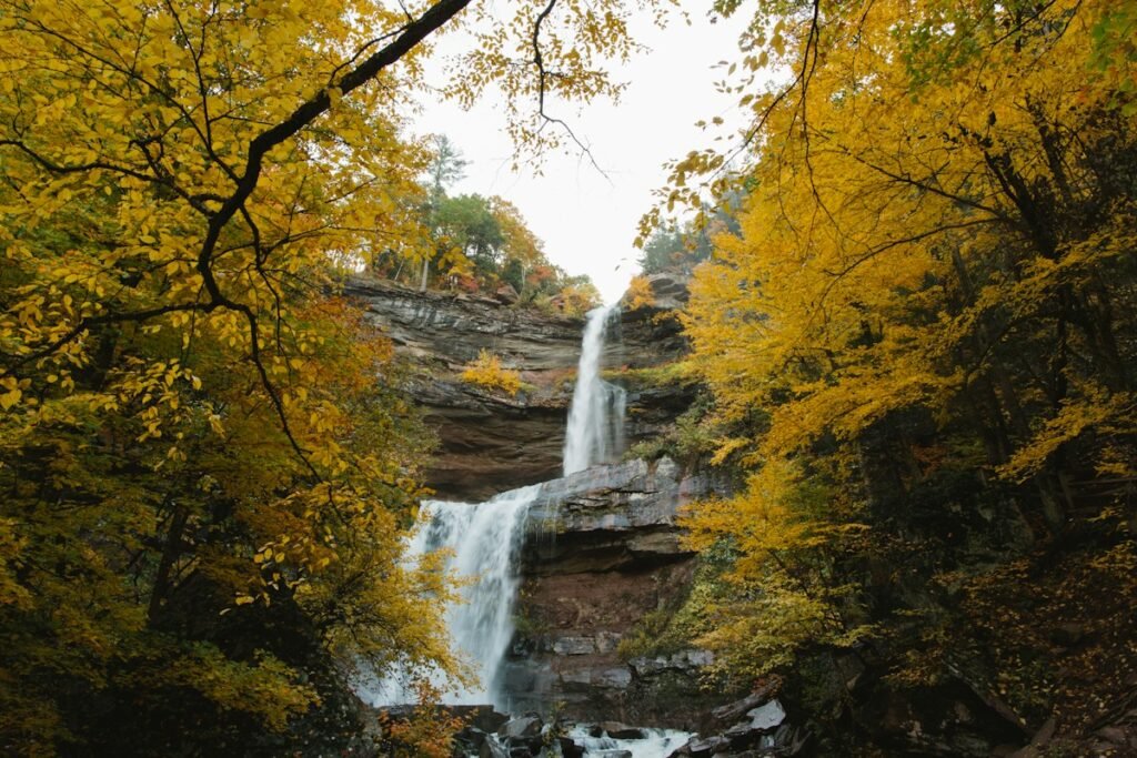 Illustrative wooded waterfall surrounded by green foliage, not a photograph of a named Hudson Valley attraction