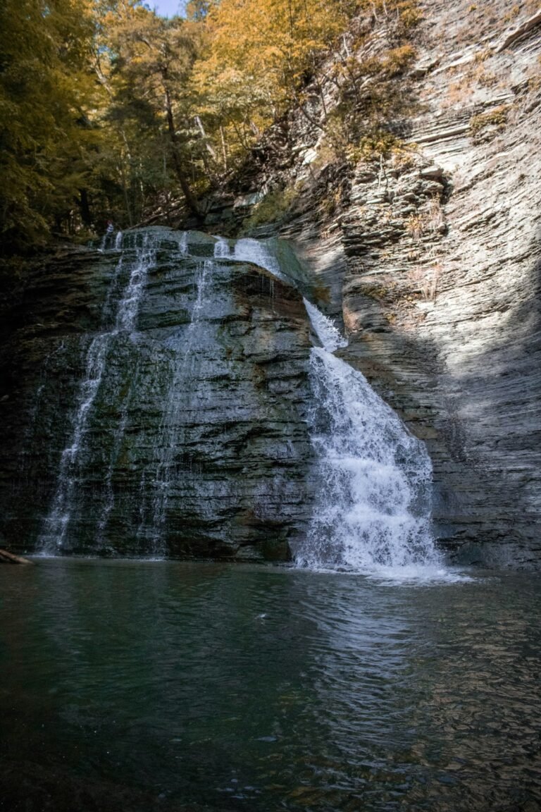 Illustrative waterfall flowing through lush trees, not necessarily Vernooy Kill Falls