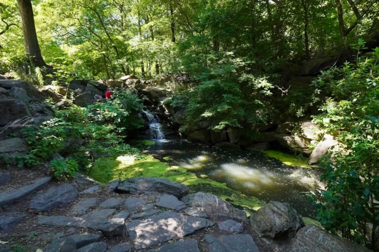 Illustrative small wooded waterfall and stream, not a photograph of Esopus Creek